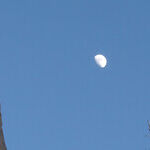 Just Mooning Around