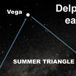 The Stellar Dolphin