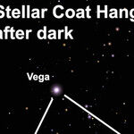 Find the Stellar Coat Hanger