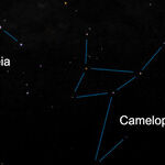 The Celestial Giraffe