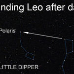 Finding the Celestial Lion