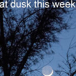 Old Moon in the New Moon's Arms