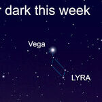 Make Friends With Vega