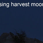 Shine On, Harvest Moon