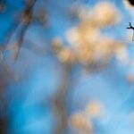 Reflections on Bondi Beach