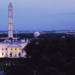 Don't Dance on Bannon's Grave Yet