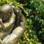 White Males and Abortion