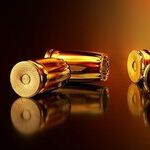 The Party of Violence