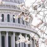 Dr. Oz Quacks the Code of Republican Politics
