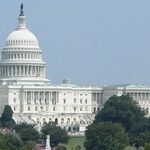 How Democrats Can Save Themselves