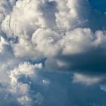 Climate Catastrophists Need to Chill