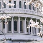 Are Democrats Up to Preventing the Next Coup Attempt?