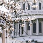 Liz Cheney's Star Turn