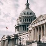 Checks and Balances Won't Save Us from Trump