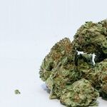 Legal Marijuana Is Becoming the Norm