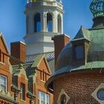 Harvard and Yale Should Stop Playing Football