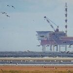 Offshore Drilling and Trump's War on the Environment