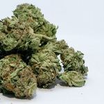 Jeff Sessions Gives a Boost to Legalization of Pot