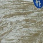 Even if You Live Inland, Hurricanes Put You in Jeopardy