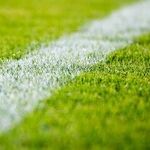 A Yale Football Player Quits to Save His Brain