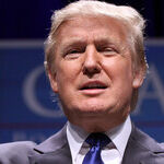 Under Trump, the Chaos Never Ends