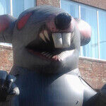 Who's Afraid of a Giant Inflatable Rat?