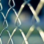 The Real Causes of the Border Crisis -- and the Real Remedies