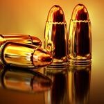 A Court's Extreme View of the Second Amendment