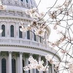 Bill Barr Adds to His Disgrace