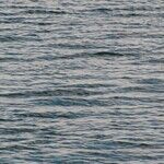 Why Do We Encourage People to Live in Flood Zones?