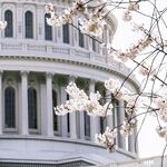 Uncovering the Truth About the Attack on the Capitol