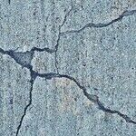 Brexit Earthquake Hits Britain