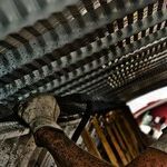 Free Trade's Effect on 'Earned Success'