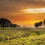 The New/Old Politics of Capital vs. Countryside
