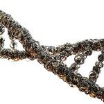 Genetics Is Undercutting the Case for Racial Quotas