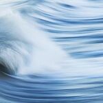 California Results Suggest Blue Wave Has Crested and Ebbed