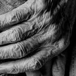 Who Sent COVID-19 Positive Patients Into Nursing Homes?
