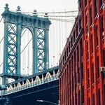 New York Mayoral Primary Shows Split Between Democratic Constituencies