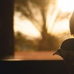 Abolish Parenthood? No, Family Trumps 'Equity'