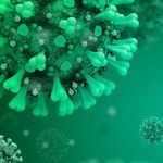 Lab Leak Story: How Elite Scientists Lied and Concealed the Truth