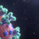 The Proximal Origin of a Scientific Fraud