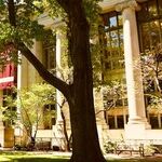 The Intellectual Elite's Institutional Rot