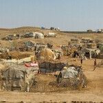 Refugee Waves and Migrant Marches