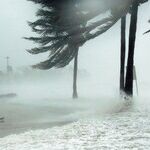 The Anger of the Hurricane Media