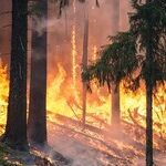 His Critics Have Not Blamed Him for the California Fires Yet