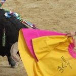 At the Bullfights Ole