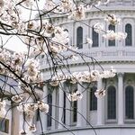 What to Do About Nancy Pelosi's Pa?