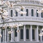 Will Joe Manchin III Cross the Aisle?