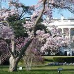 The End of the Cold War and 2017 American Politics