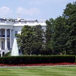 Who Will Not Be the 2020 Presidential Nominee